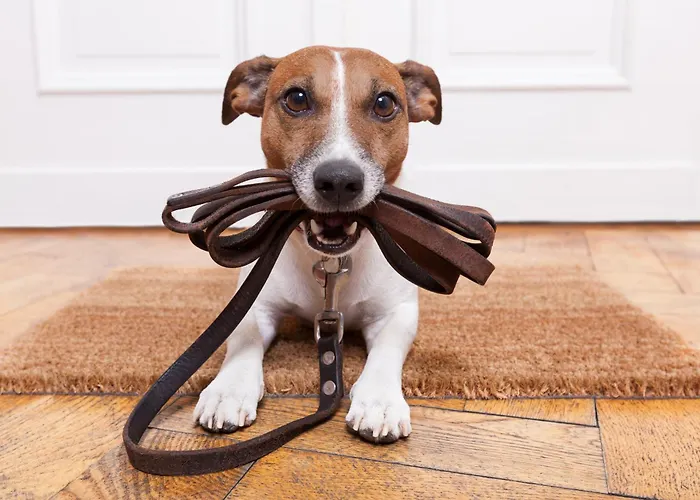 Hoam By Schladming-appartements Apartment